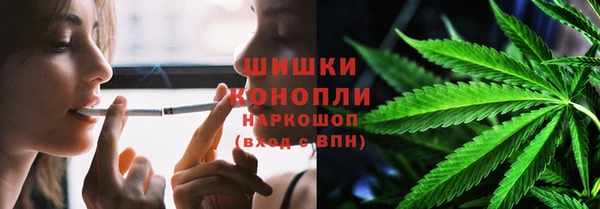 гидра Богородицк