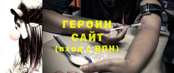 гидра Богородицк