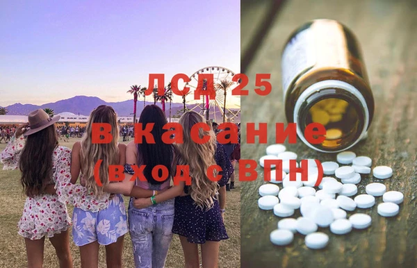 гидра Богородицк