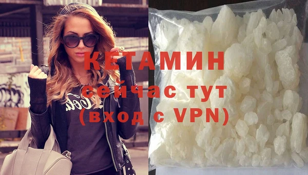 гидра Богородицк