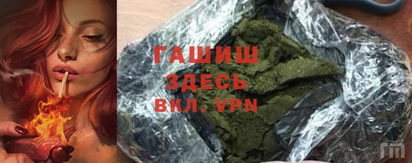 гидра Богородицк