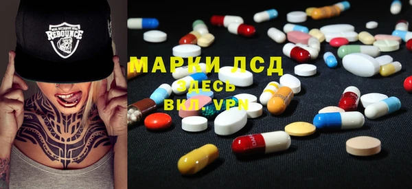 гидра Богородицк