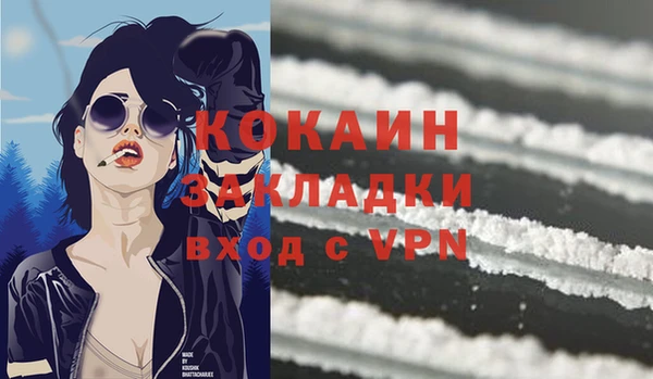 гидра Богородицк