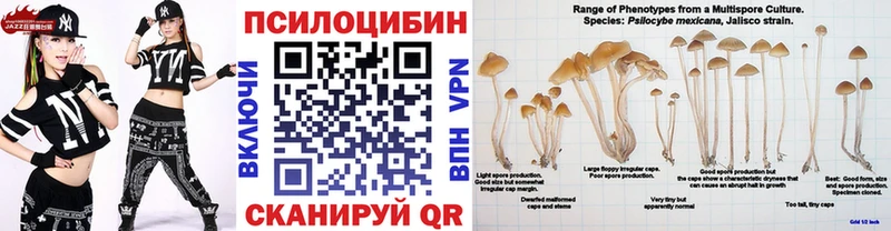 Галлюциногенные грибы Magic Shrooms Купить Великие Луки