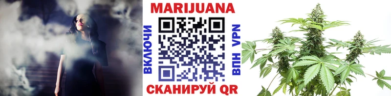 Купить где  Великие Луки  Бошки марихуана White Widow 